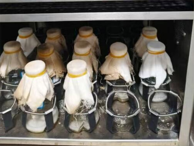 �Ƽ��x���l�����d������������W�W�����ڌ��`̽��ľ�Ǵ��Gɫ����ϳ���·��