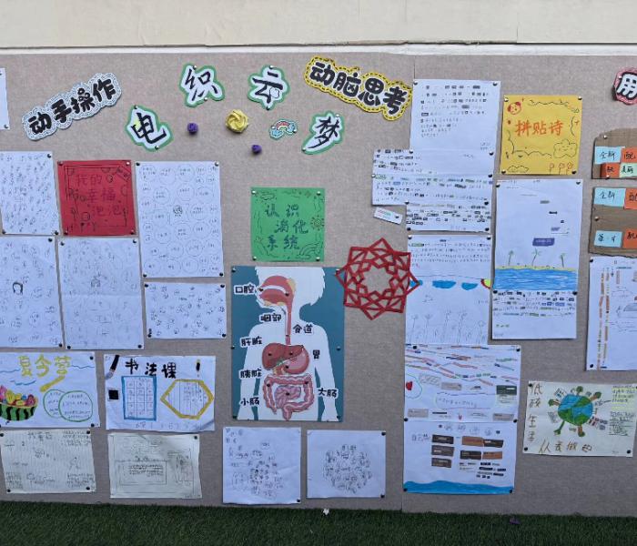 �|�ϴ�W늿��Ɖ�֧�̈F���������A�_չ֧���c�l�����d���`